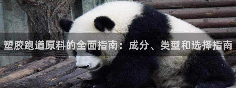 尊龙凯时品牌介绍:塑胶跑道原料的全面指南:成分、类型和选择指